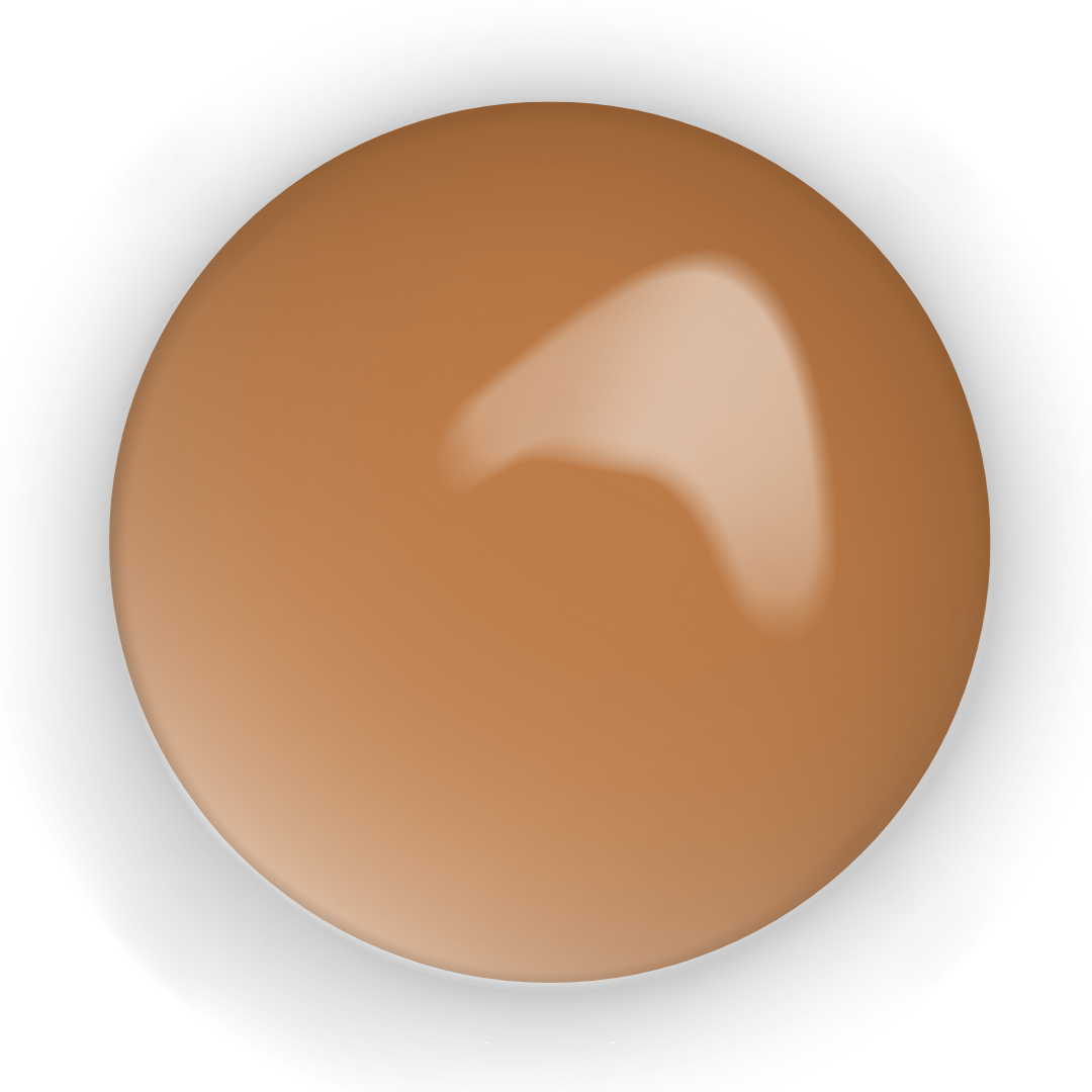 Concealers - 4 Shades