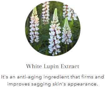 L'Elixir D'Or - Youthful Eye Serum for Puffy Eyes, Fine Lines & Dark Circles