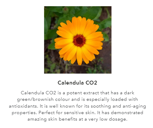 Sérénité - Cream Cleanser & Mask with AHA & Papaya Enzymes