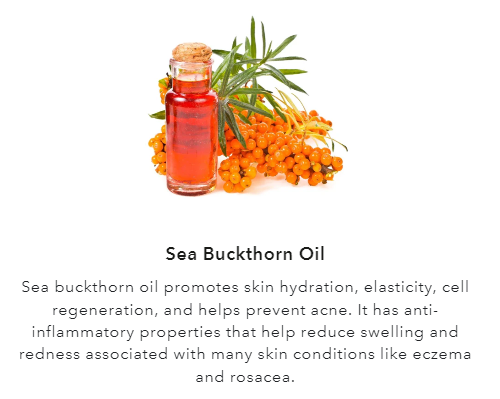 Les 16 Précieux - Antioxidant Oil Serum Bakuchiol & Blue Light
