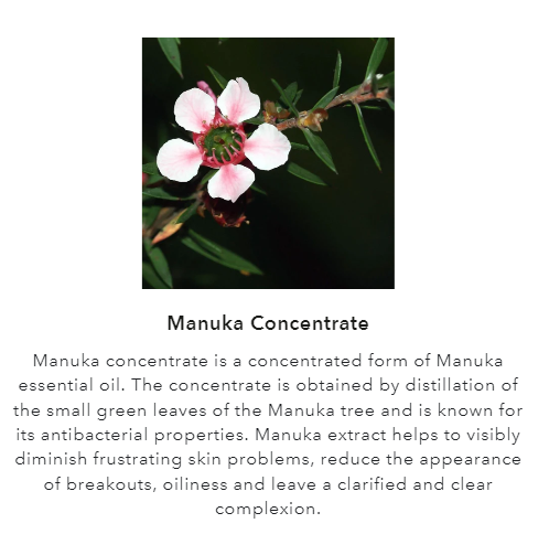L’Élixir de Manuka - Purifying Oil Serum Manuka & Blue Light
